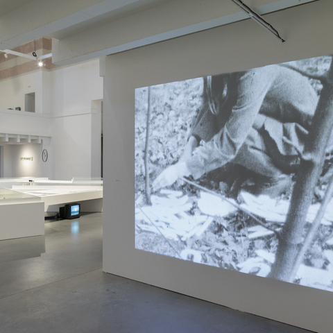 photo: Peter Snadík